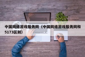 中国网络游戏服务网（中国网络游戏服务网和5173区别）